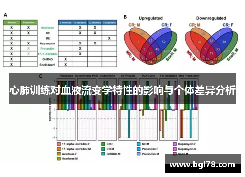 心肺训练对血液流变学特性的影响与个体差异分析